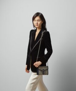 Alternative view of Gucci Dionysus Chain Wallet Shoulder Bag 8in/ 20cm Beige/ Blue GG Supreme Canvas Palladium Hardware For Women 401231 K9GSN 4075