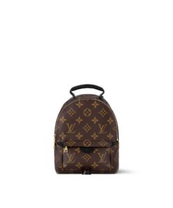 Louis Vuitton Palm Springs Mini Monogram Canvas Backpack For Women 6.7in/17cm LV M44873