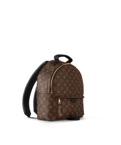 Louis Vuitton Palm Springs MM Backpack For Women M44874- 33 Cm/ 13 Inches - Image 5