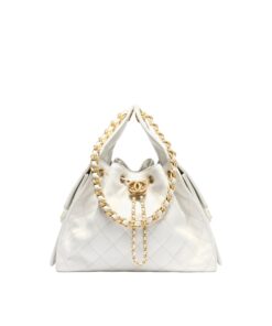 Chanel 25 Small Shoulder Bag 10.2in/ 26cm White Gold Hardware For Women AS5293 B20304 10601