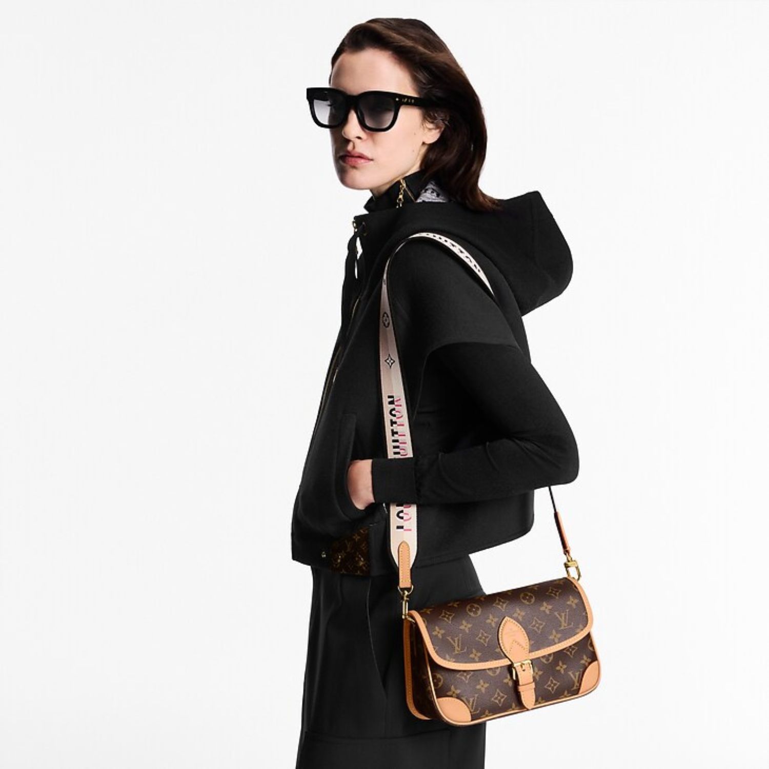 Louis Vuitton Diane Satchel Brown For Women 24cm/9.4in M45985 - Image 4